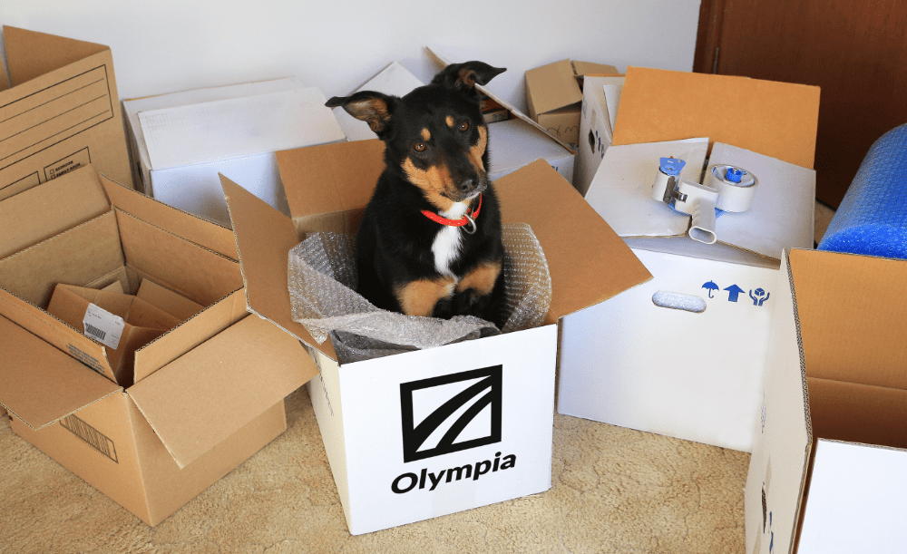 Moving with Pets