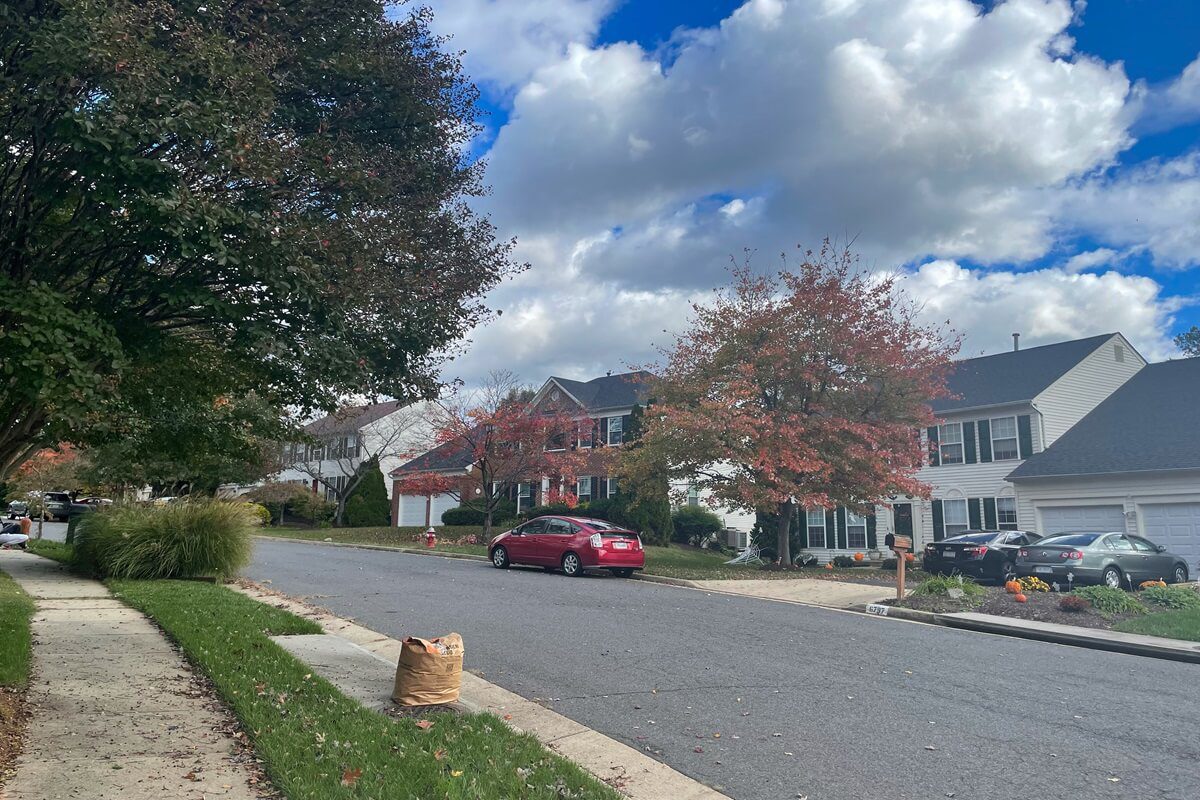 Suburban homes surrounded by trees Lorton Virginia USA