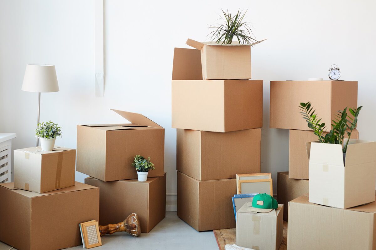 background image of cardboard boxes stacked in empty room with plants and personal belongings inside