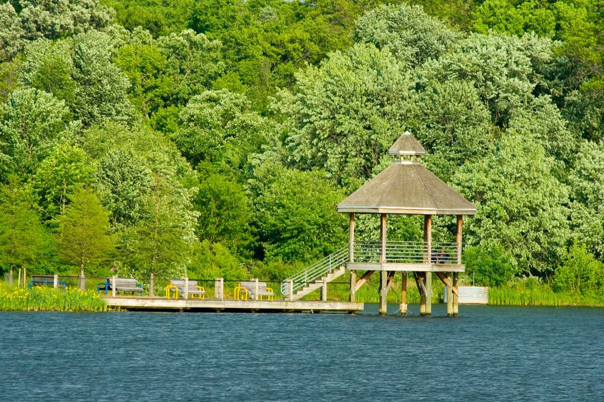 boardwalk in lake artemesia College Park MD