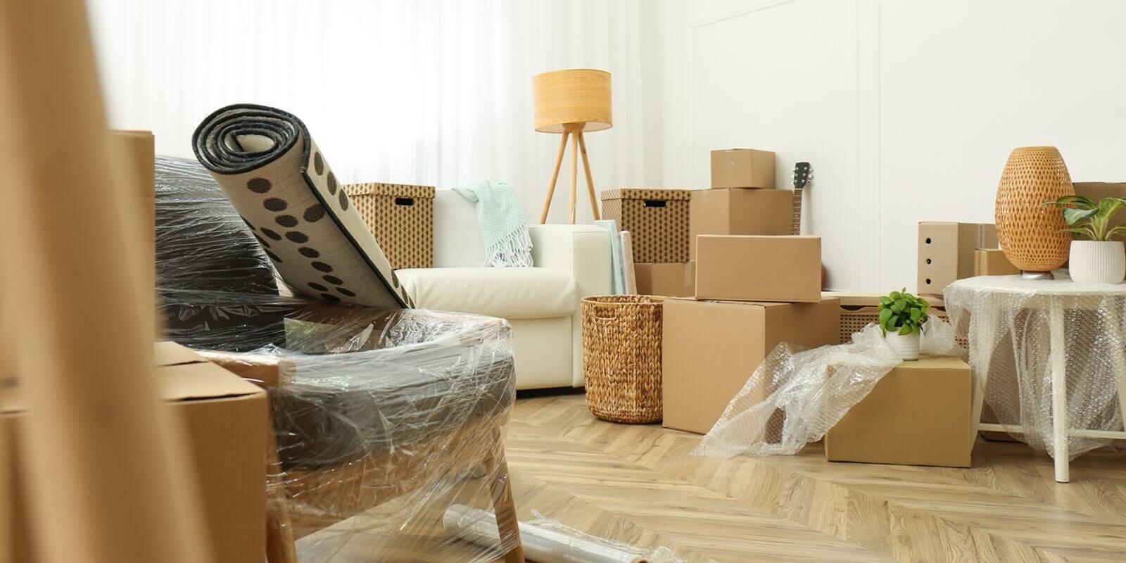 cardboard boxes, potted plants and household stuff indoors