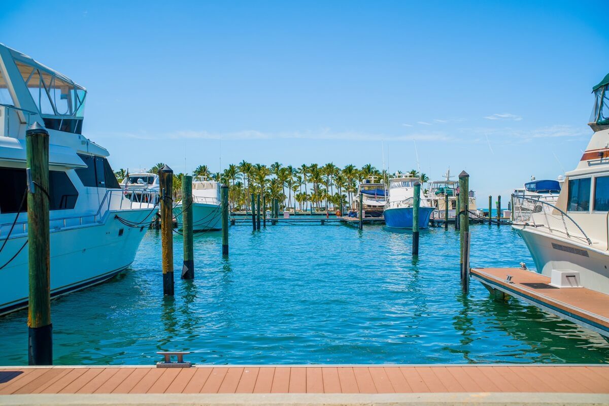 white luxury motor yachts moored at piers inside Palm Harbor Florida